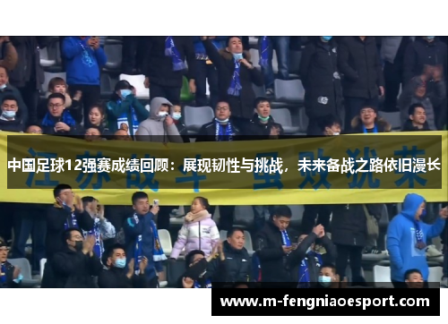 中国足球12强赛成绩回顾：展现韧性与挑战，未来备战之路依旧漫长