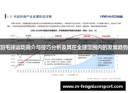 羽毛球运动简介与技巧分析及其在全球范围内的发展趋势