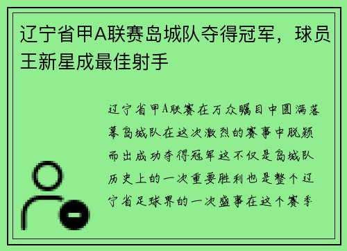 辽宁省甲A联赛岛城队夺得冠军，球员王新星成最佳射手